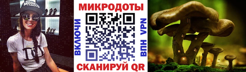как найти наркотики  Дмитровск  Галлюциногенные грибы мицелий 